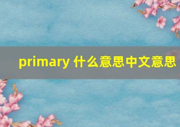 primary 什么意思中文意思